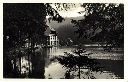 Ak Freudenstadt im Nordschwarzwald, Langenwaldsee