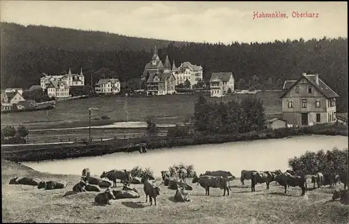 Ak Hahnenklee Bockswiese Goslar im Harz, Ortsansicht