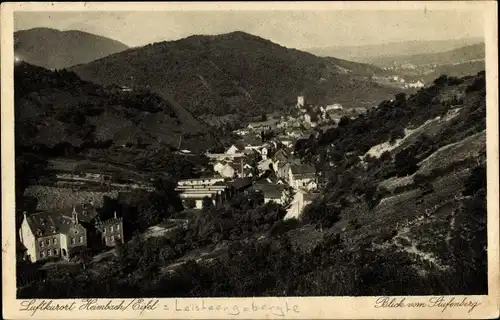 Ak Heimbach in der Eifel, Blick vom Stufenberg auf den Ort, Wald, Häuser