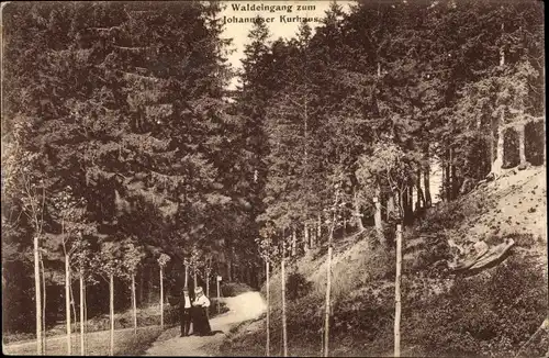 Ak Clausthal Zellerfeld im Oberharz, Waldeingang zum Johanneser Kurhaus