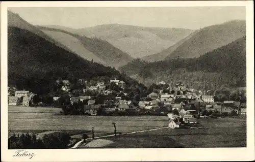 Ak Tabarz im Thüringer Wald, Blick zum Ort, Panorama