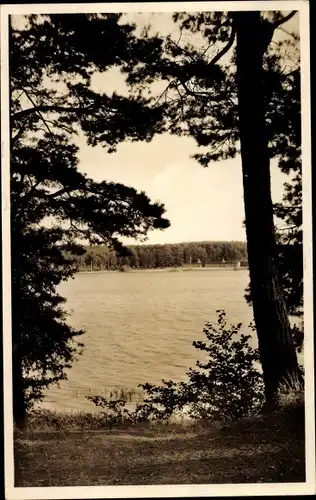 Foto Trzcianka Schönlanke Ostbahn Poznań Posen, Am Zackersee