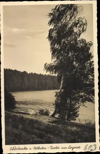 Ak Trzcianka Schönlanke an der Ostbahn Posen, Logosee