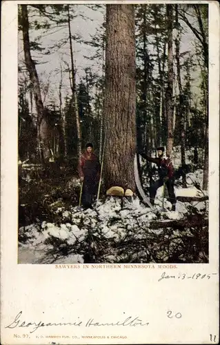 Ak Minnesota USA, Sawyers in Northern Minnesota Woods