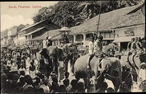 Ak Sri Lanka Ceylon, Kandy Perahara, Elefanten, Prozession
