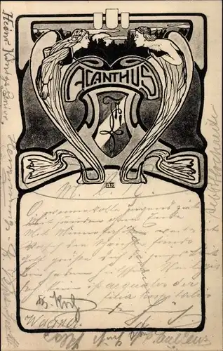 Studentika Ak Acanthus