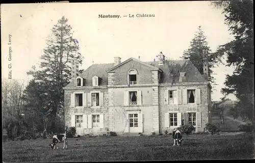 Ak Montamy Calvados, Le Chateau