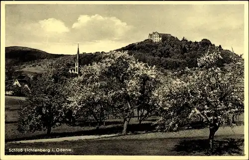 Ak Lichtenberg Fischbachtal im Odenwald, Blick auf das Schloss