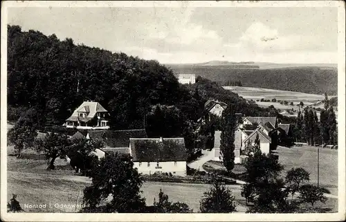 Ak Nonrod Fischbachtal im Odenwald Hessen, Gasthaus zum grünen Baum