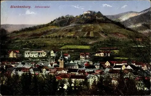 Ak Bad Blankenburg in Thüringen, Panorama, Schwarzatal