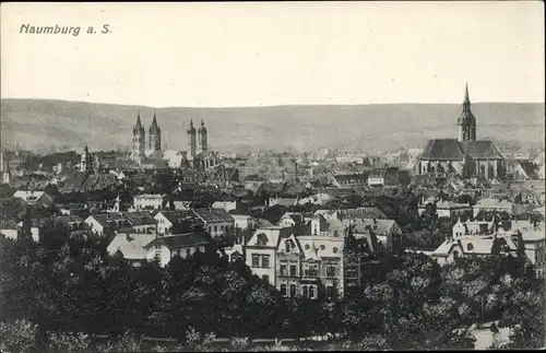 Ak Naumburg an der Saale, Panoramablick, Dom, Stadtkirche St. Wenzel