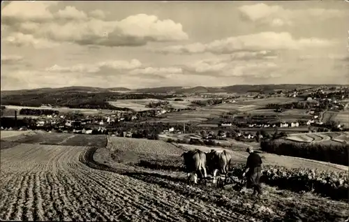 Ak Arnsgrün Adorf im Vogtland, Blick nach Adorf, Gesamtansicht, Feld, Rinderpflug