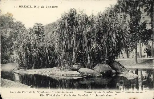 Ak Rio de Janeiro Brasilien, Coin du Parc de la Republique Arundo donax