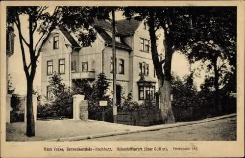 Ak Benneckenstein Oberharz, Haus Vocke