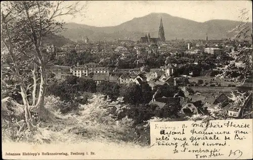 Ak Freiburg im Breisgau, Gesamtansicht