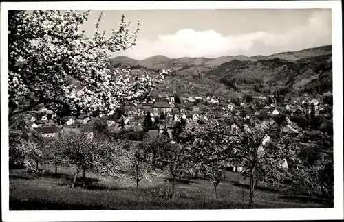 Ak Kandern im Schwarzwald Baden, Teilansicht, Baumblüte