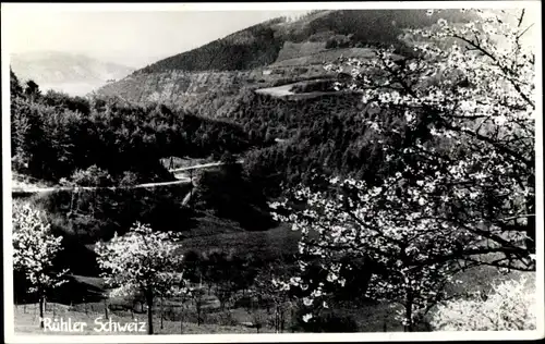 Foto Ak Rühle Bodenwerder an der Weser, Rühler Schweiz, Baumblüte