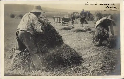 Foto Ak Bauern bei der Arbeit auf dem Feld