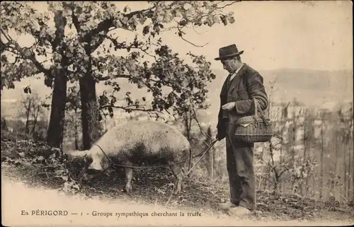 Ak En Perigord, Groupe sympathique cherchant la truffe, Mann mit Trüffelschwein