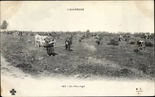 Ak L'Auvergne, un Paturage, weidende Rinder