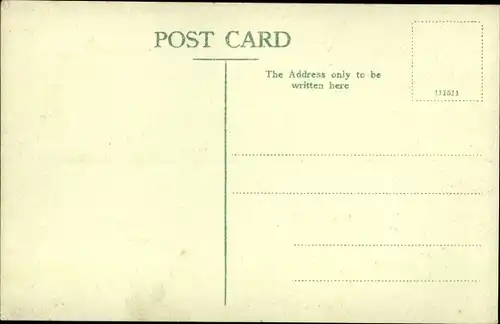 Ak Natal Südafrika, The Sugar Industry. Cane field