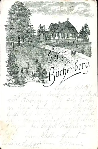 Litho Elbingerode Harz, Waldwirtschaft Büchenberg