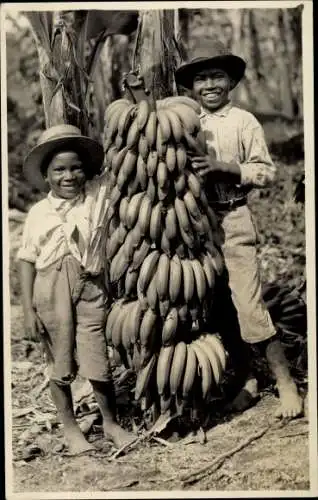 Foto Ak Südamerika, Zwei Jungen mit Bananenstaude