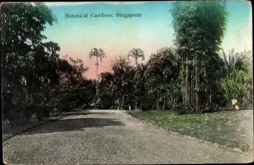 Ak Singapore Singapur, Botanischer Garten