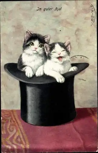 Ak Zwei Hauskatzen in einem Zylinder sitzend, Katzenportrait, In guter Hut