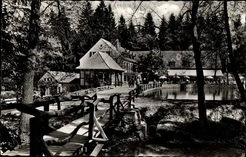 Ak Leopoldstal Horn Bad Meinberg Nordrhein Westfalen, Waldhotel Silbermühle