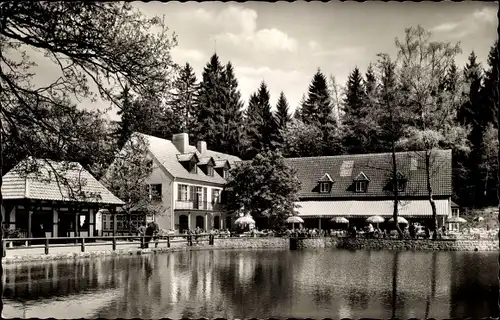 Ak Leopoldstal Horn Bad Meinberg Nordrhein Westfalen, Waldhotel Silbermühle