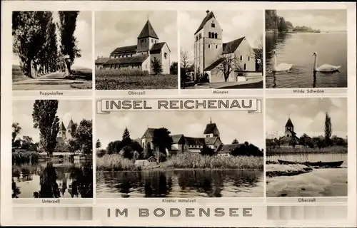 Ak Insel Reichenau Bodensee, Pappelallee, Oberzell, Münster, Kloster Mittelzell, Unterzell, Schwäne