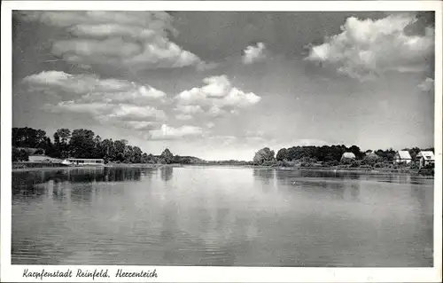 Ak Reinfeld in Holstein, Herrenteich