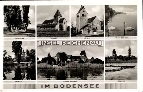 Ak Insel Reichenau Bodensee, Pappelallee, Oberzell, Münster, Kloster Mittelzell, Schwäne, Unterzell