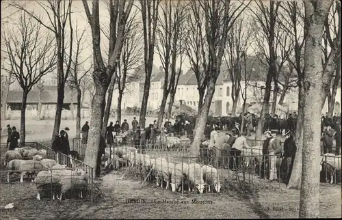 Ak Hesdin Pas de Calais, Le Marche aux Moutons