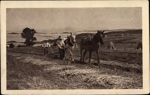 Ak Bauern mit Pferdepflug auf dem Feld, Landwirtscchaft, Reklame, Chocolat Klaus, Morteau