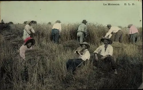 Ak Frankreich, La Moisson, Schnitter auf dem Feld