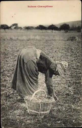 Ak Scenes Champetres, Alte Frau bei der Ernte auf einem Feld