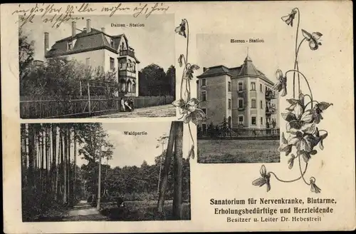 Ak Leingarten in Württemberg, Sanatorium, Damenstation, Waldpartie