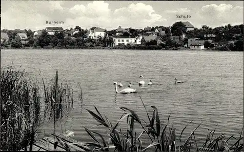 Ak Reinfeld in Holstein, Am Herrenteich, Kurheim, Schule