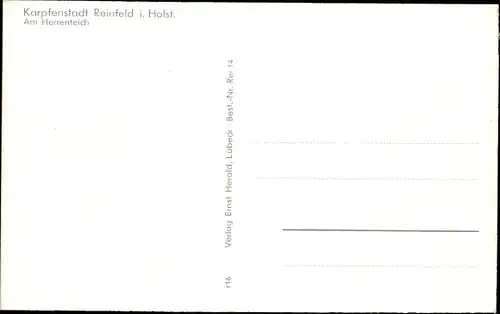 Ak Reinfeld in Holstein, Am Herrenteich, Kurheim, Schule