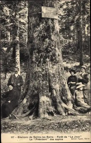 Ak Salins les Bains Jura, Foret de La Joux, Le President des sapins