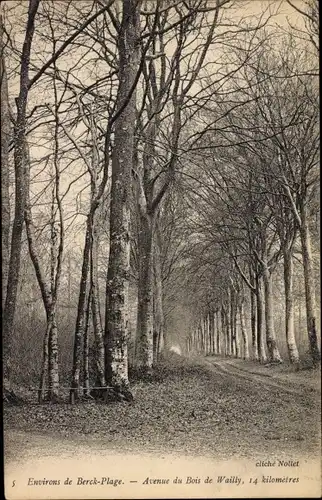 Ak Berck Plage Pas de Calais, Avenue du Bois de Wailly