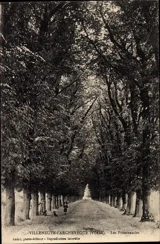 Ak Villeneuve l'Archevêque Yonne, Les Promenades