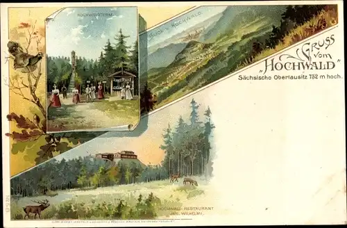 Litho Hain Oybin in Sachsen, Hochwald, Turm, Landschaftspanorama, Restaurant