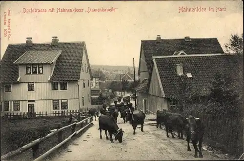 Ak Hahnenklee Bockswiese Goslar im Harz, Dorfstraße mit Hahnenkleeer "Damenkapelle", Kühe