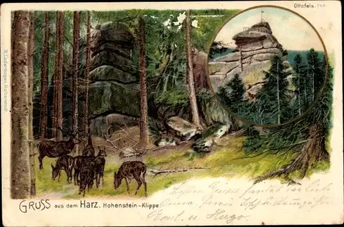 Litho Wernigerode am Harz, Hohenstein Klippe, Hirsch, Rehe