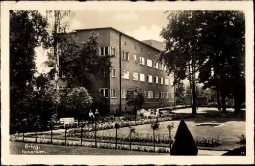 Ak Brzeg Brieg Schlesien, Rosarium