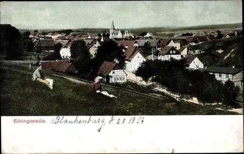 Ak Elbingerode Oberharz am Brocken, Panorama