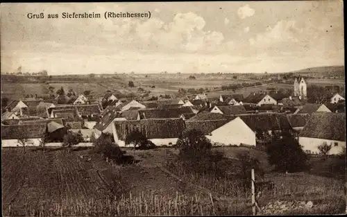 Ak Siefersheim in Rheinhessen, Panorama